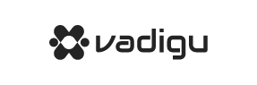 Inicio 25 logo Vadigu eglee.agency